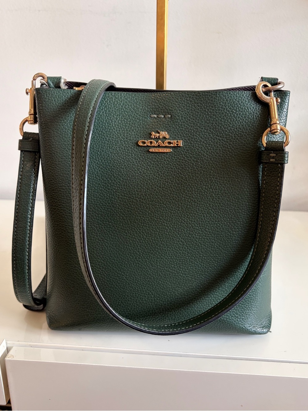 COACH Mollie Bucket Bag 22 in Amazon Green Pebbled Leather